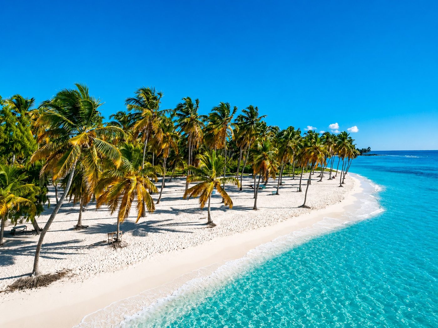 Palm-lined white sand beach in Punta Cana